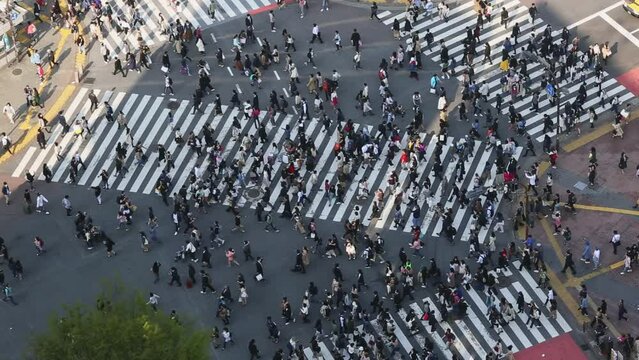 Slow motion of Shibuya crossing with people, aerial view, Tokyo, Japan