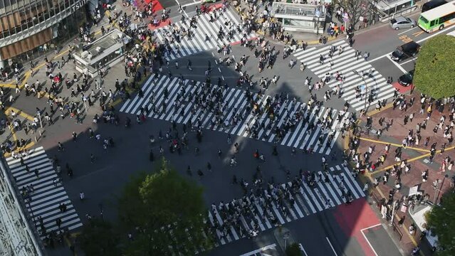 Timelapse of Shibuya crossing with people, aerial view, Tokyo, Japan