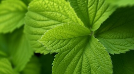 Macro of light green leaf nature background Ai Generative