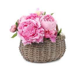 Beautiful peonies in wicker basket isolated on white