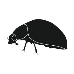 ladybug icon vector