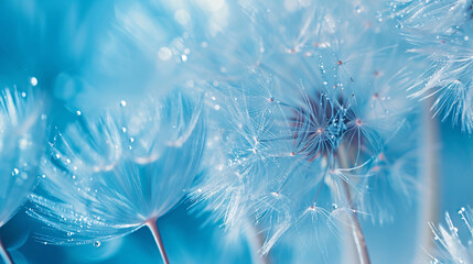 Abstract blurred natural background dandelion seeds, free concept bokeh illustration