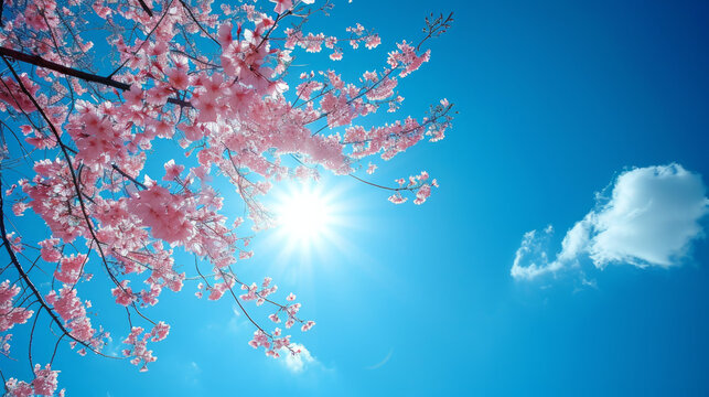 「花見宴会」の写真素材 | 4,953件の無料イラスト画像 | Adobe Stock