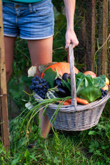 Organic Garden Harvest - Sustainable Country Lifestyle Concept