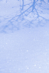 Obraz premium キラキラした雪に反射した木の影。