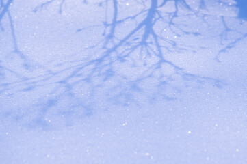 キラキラした雪に反射した木の影。