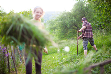 Serene Young Farmers Lower The Meadows of their Farm in a traditional Way with hand Tools Rake and...