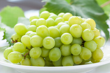 シャインマスカット