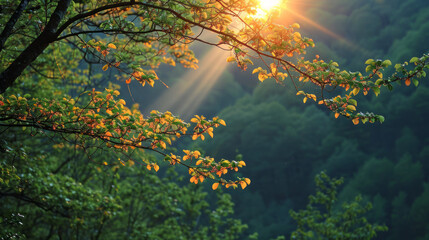 Beautiful view on a sunny day in the forest. Green branches and dense forest.