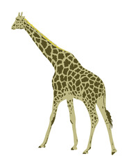 Art Deco or WPA poster of a giraffe or Giraffa camelopardalis viewed from side rear done in works project administration style.
