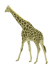 Fototapeta premium Art Deco or WPA poster of a giraffe or Giraffa camelopardalis viewed from side rear done in works project administration style. 