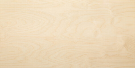 wood texture background. texture of wood. High key birch wood plank natural texture, plank texture...