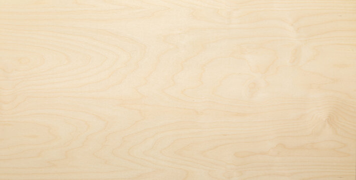wood texture background. texture of wood. High key birch wood plank natural texture, plank texture background, plank tabletop background.	