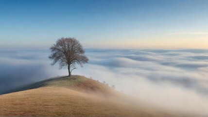 Lonely tree and fog on a hill against a blue sky