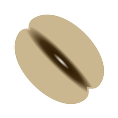 White coffee bean isolated on white background. Vector illustration.