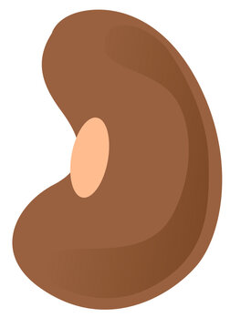 Illustration of a soy bean in a flat style on a white background