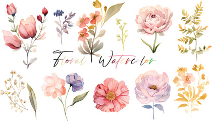 A very beautiful collection of watercolor flowers - obrazy, fototapety, plakaty
