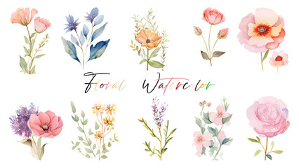 A very beautiful collection of watercolor flowers