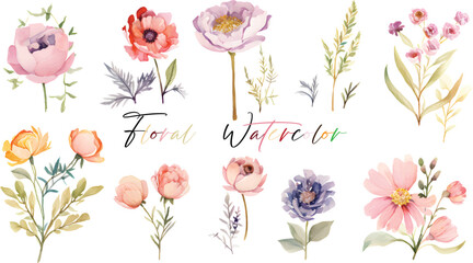 A very beautiful collection of watercolor flowers