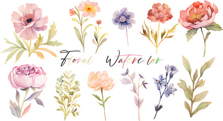 A very beautiful collection of watercolor flowers