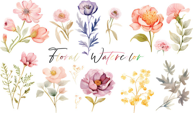 A very beautiful collection of watercolor flowers