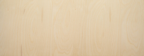 wood texture background. Texture background. High key birch wood plank natural texture, plank...