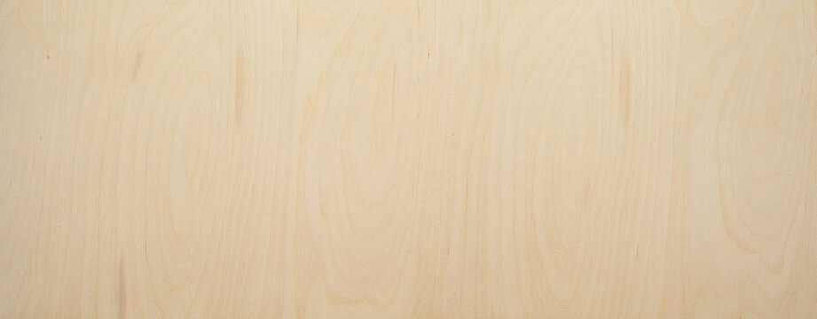 wood texture background. Texture background. High key birch wood plank natural texture, plank texture background, plank tabletop background.	