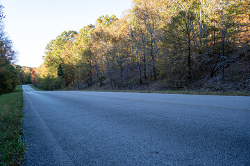 road in autumn woods