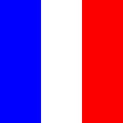 FRANCE FLAGS