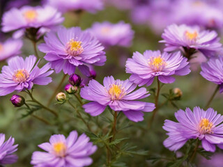 purple flowers. background blur.