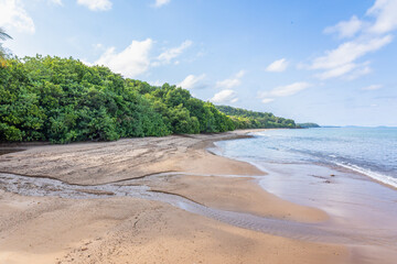 A small freshwater stream flowing across a pebbly tropical beach between tropical rainforest and...