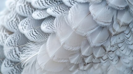 Closeup of a ptarmigans intricate patterns of white and grey feathers resembling delicate snowflakes