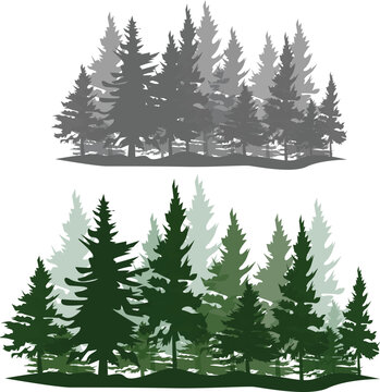 winter forest illustration
