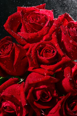bouquet of red roses with spraing on the black background. Vertical close up shot.
