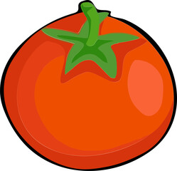 Tomato image. Vector illustration. Isolated on a white background.