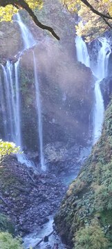 waterfall in the forest