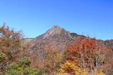 石鎚山を飾る紅葉　（愛媛県　石鎚スカイラインより）