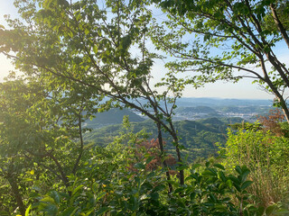 Obraz premium 頂上からの眺め