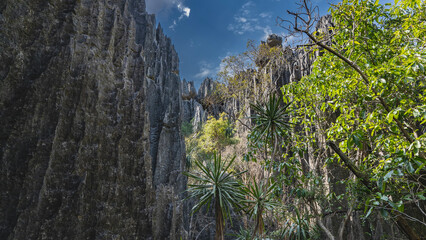 Tsingy De Bemaraha Nature Reserve. Grey karst limestone cliffs with steep slopes, sharp peaks...