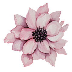 vintage pink flower ,watercolor fashion illustration