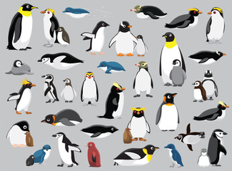 Penguin Town Various Species Vector Illustration