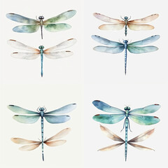 Set of Dragonfly watercolor