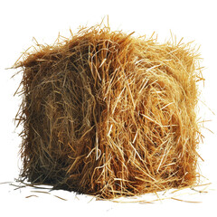 Square Hay Isolated on Transparent or White Background, PNG