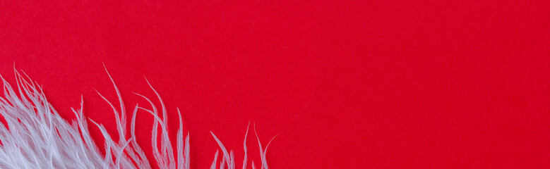 White fluffy ostrich feather close up on red background with copy space for text, bird feather...