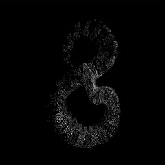 Viper Boa hand drawing vector isolated on black background.