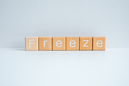 Wooden blocks form the text "Freeze" against a white background.