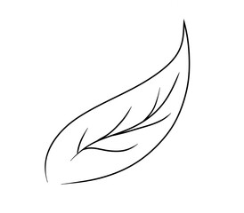 feather on a transparent background png file element, leaves line pen illustration 