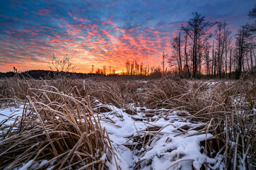 Beautiful winter sunrise on the forest glade