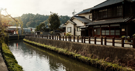 Fototapeta premium Houses, building and canal with trees in Japan of architecture, structure or natural scenery in neighborhood. Japanese village, home or outdoor street or stream of quiet or peaceful town in Tokyo