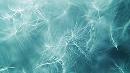 Fototapeta na wymiar Ethereal dance of frozen dandelion seeds in the air, creating a soft and calming spectacle.